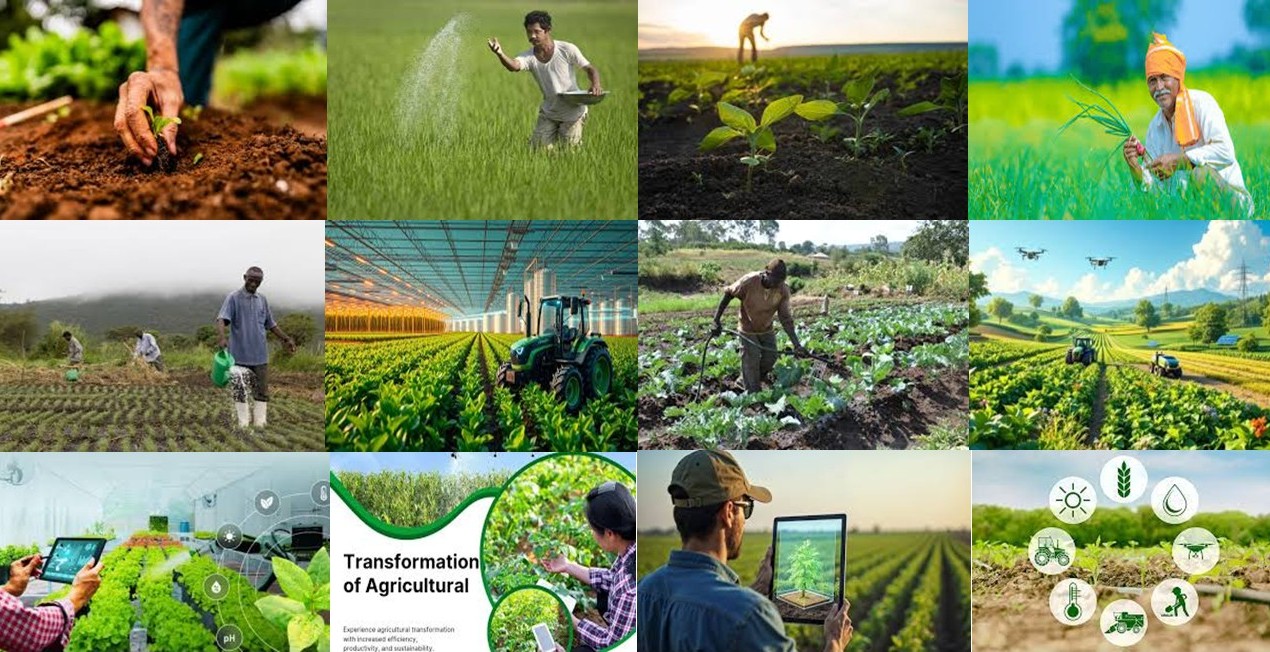 Agriculture